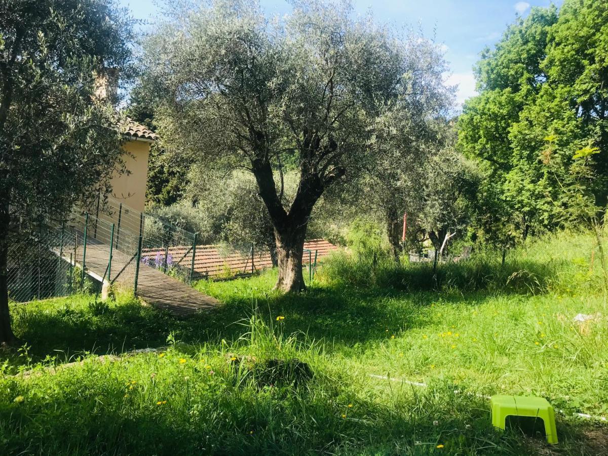 Residence Lou Naouc جراس المظهر الخارجي الصورة
