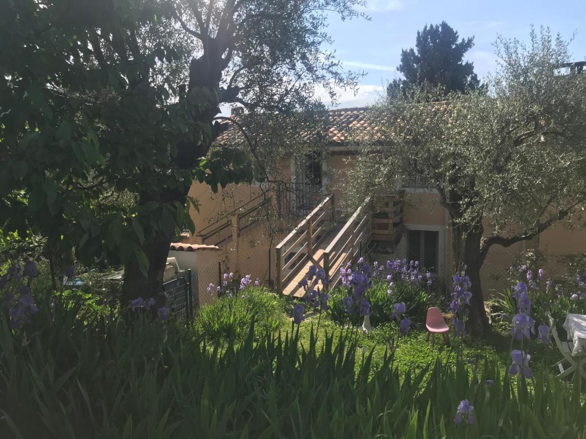 Residence Lou Naouc جراس المظهر الخارجي الصورة